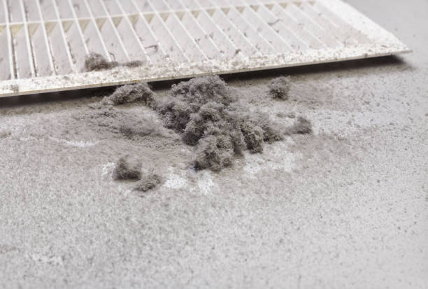 Best HVAC Air Duct Cleaning  in Walnut, IL
