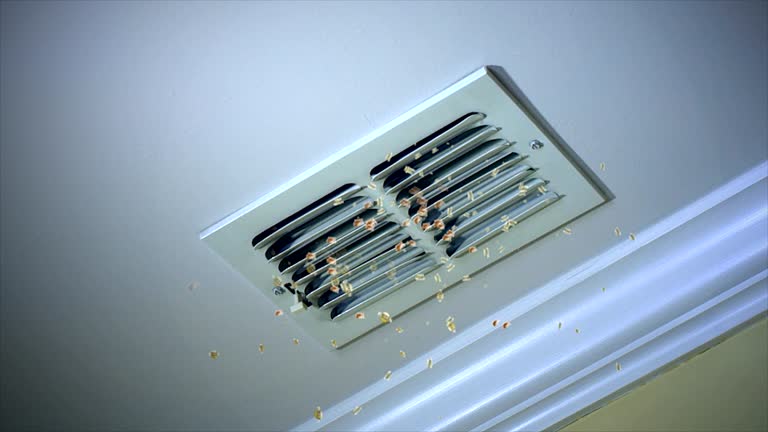 Best Commercial HVAC Duct Cleaning  in Walnut, IL