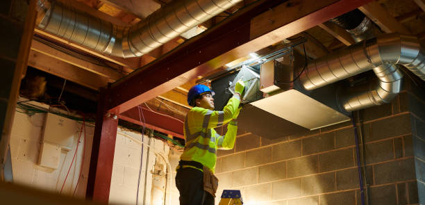 Best Professional Duct Cleaning Services  in Walnut, IL