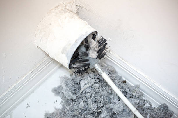 Best HVAC Maintenance and Cleaning  in Walnut, IL